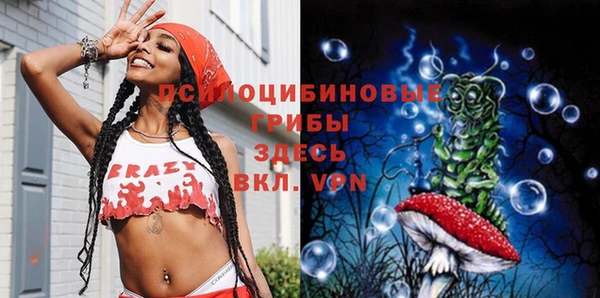 Альфа ПВП Беломорск